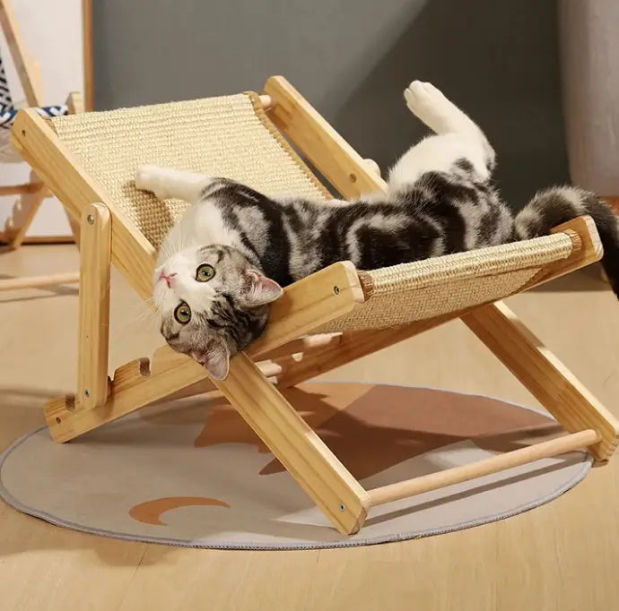 Cadeira Ajustável para Pets - Conforto e Estilo em 4 Posições Reclináveis!