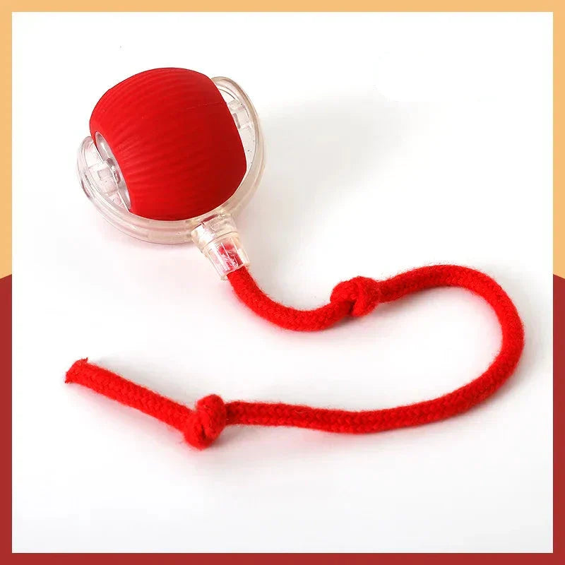 Bolinha Interativa Automática Com Sensor
