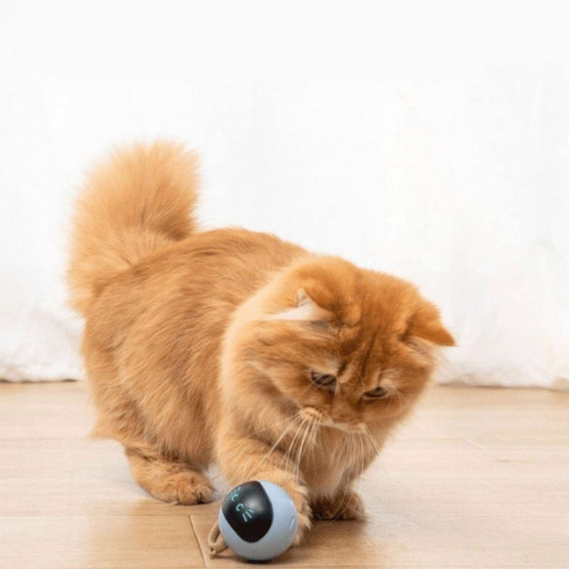 Bolinha Smart Interativa para Cães e Gatos - Movimento Automático - Luzes LED